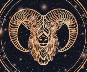 you are a Aries