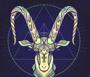 you are a capricorn